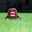 Image result for Nerd Domo