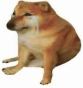 Image result for Doge Sad Aviation