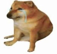 Image result for Doge Sad Mood