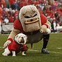 Image result for American Football Mascots