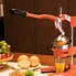 Image result for Manual Countertop Juicer