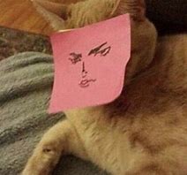 Image result for Jjba Cat Memes