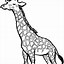 Image result for Baby Giraffe Art