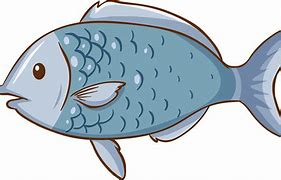 Image result for Fish Face Cartoon