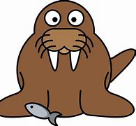 Image result for Fattest Walrus