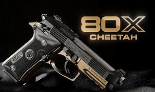 Image result for Best Beretta for Concealed Carry