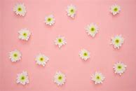 Image result for Aesthetic Pastel Pink Background with Flowers