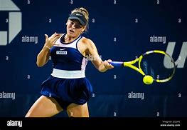 Image result for Bejlek Tennis