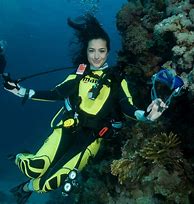 Image result for Scuba Diving Wetsuit