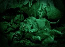 Image result for Lion King Cave