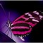 Image result for Animated Moving Butterfly Screensavers