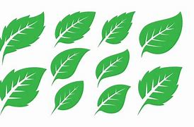 Image result for Fresh Leaves Design