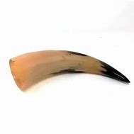 Image result for Wild Ox Horns