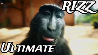 Image result for Rizz Monkye