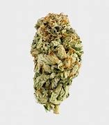 Image result for BC Kush Strain