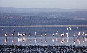 Image result for Fascinating Places in Kenya