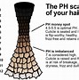 Image result for Phsyco Hair