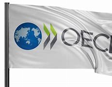 Image result for OECD Flag