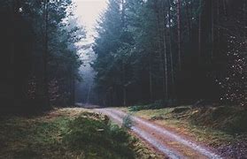 Image result for Footpath Forest Wallpaper