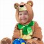 Image result for Teddy Bear Lion Costume