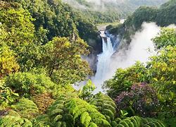 Image result for Tropical Andes