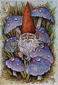 Image result for Hand Painted Gnomes