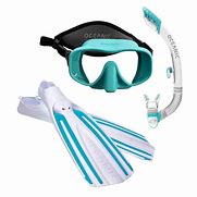 Image result for Snorkel in the Sea