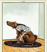 Image result for Far Side Animals