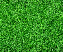 Image result for Background Rumput Game