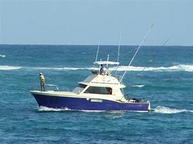 Image result for Fish Catching Boat