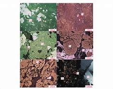 Image result for Rock Microscopic