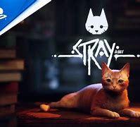 Image result for PlayStation Cat Game