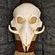 Image result for Bvear Skull Mask