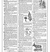 Image result for Encyclopedia Book Pic S