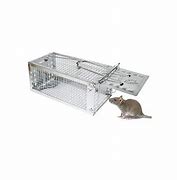 Image result for Rat Trapper