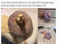 Image result for Donut in Bathroom Floor Meme