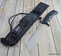 Image result for Fixed Blade with MOLLE Sheath