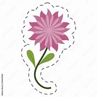 Image result for Aster Cut Flower