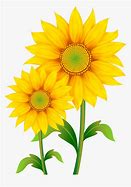 Image result for Sunflower Image Clip Art No Background