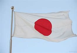 Image result for Flag in Japan