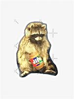 Image result for Raccoon Eating Peanut Butter