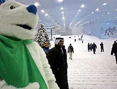 Image result for Dubai Snow