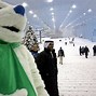 Image result for Dubai Snow