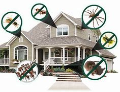 Image result for Pest Control Services Banner