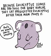 Image result for Animal Facts Comic Long