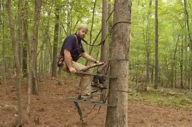 Image result for Climbing Tree Stand