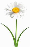 Image result for Simple Daisy Flower Clip Art