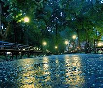 Image result for Raining Day Pictures