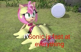 Image result for Amy Rose Sonic Adventure Meme