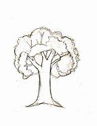 Image result for Tree Pencil Sketch